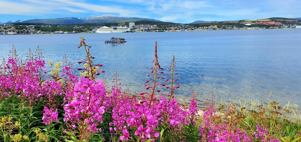 Northern Dreams With Free Parking Tromsø
